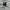 Nike Small Logo Grey Sweatshirt photo 3