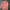 Tracktop kappa tapped photo 2