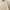 Neighborhood Streetwear T-shirt Pria cream photo 4