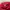 H&M Sweatshirt Shorts Red Celana Pendek photo 3