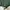 Adidas Casual Windbreaker Pria green photo 8