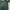 Adidas Casual Windbreaker Pria green photo 4