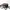 Kate Spade KS Small Bradley Wilson Road Mini Backpack photo 5