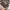 Long Sleeve thisisneverthat® – Motif Stripe Retro photo 5