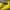 Jaket Gunung Trespass DLX Kuning Waterproof Outdoor Unisex photo 5