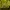 Jaket Gunung Trespass DLX Kuning Waterproof Outdoor Unisex photo 7