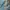 Jaket Hiking Gunung Autobahn Waterproof Warna Biru Abu photo 7