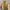 AMBUSH Casual Track Jacket Pria Yellow