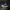 Sepatu Second Pria Converse Chuck Taylor All-Star 2 High Sod photo 1