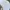 Ropehat Vintage Northrup King NK Seeds photo 4
