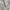 Nike Sherpa Polar Polyester  photo 4