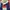 Sportswear Windbreaker Pria navy red cream photo 3