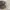 Adidas Streetwear Sneakers Pria brown photo 7