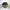 Yeezy Streetwear Sneakers Pria brown photo 3