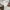 Yeezy Streetwear Sneakers Pria brown photo 7