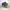 Yeezy Streetwear Sneakers Pria Brown