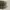 Yeezy Streetwear Sneakers Pria brown photo 6