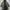 GU X UNDERCOVER FISHTAIL PARKA
 photo 4