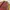 Vintage Pria brown photo 6