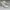 NEW converse chuck taylor authentic off white sz 37,5 photo 4