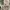 NEW converse chuck taylor authentic off white sz 37,5 photo 7