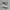 NEW converse chuck taylor authentic off white sz 37,5 photo 1