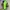 Nike Air Jordan Streetwear Sneakers Pria green photo 4