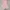 floral pink tube top tier dress coquette photo 4