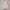 floral pink tube top tier dress coquette photo 3