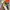 Nike Streetwear Sneakers Pria multicolor photo 6