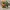 Nike Streetwear Sneakers Pria multicolor photo 5