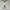 A Bathing Ape Streetwear Sportswear T-shirt Pria white photo 3