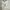 A Bathing Ape Streetwear T-shirt Pria white photo 5