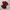 Maroon Tops photo 3