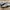 New Balance 1906D
