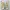 Christian Louboutin Vintage Wanita cream photo 2