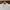 [L-XL] Polo Ralph Lauren Cotton Fitted Polo Shirt - Pure Whi photo 2