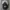 Chase Nascar Casual Biker Hat Pria white black photo 5