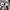 Chase Nascar Casual Biker Hat Pria white black photo 7