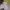 Timberland Vintage Y2K Formal shirt Pria navy photo 1