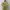 Cheongsam Maxi Silk Dress photo 2