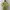 Cheongsam Maxi Silk Dress