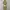 Cheongsam Maxi Silk Dress photo 1