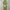 Cheongsam Maxi Silk Dress