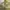 Cheongsam Maxi Silk Dress photo 3