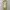 Cheongsam Maxi Silk Dress photo 7