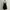 Shein Black Cami Backless Dress  photo 1