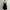 Shein Black Cami Backless Dress 