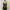 Tanktop Black Yellow Beads Vintage Y2K photo 1