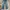 Bigjohn Big Washing Jeans Bootcut Fit photo 1